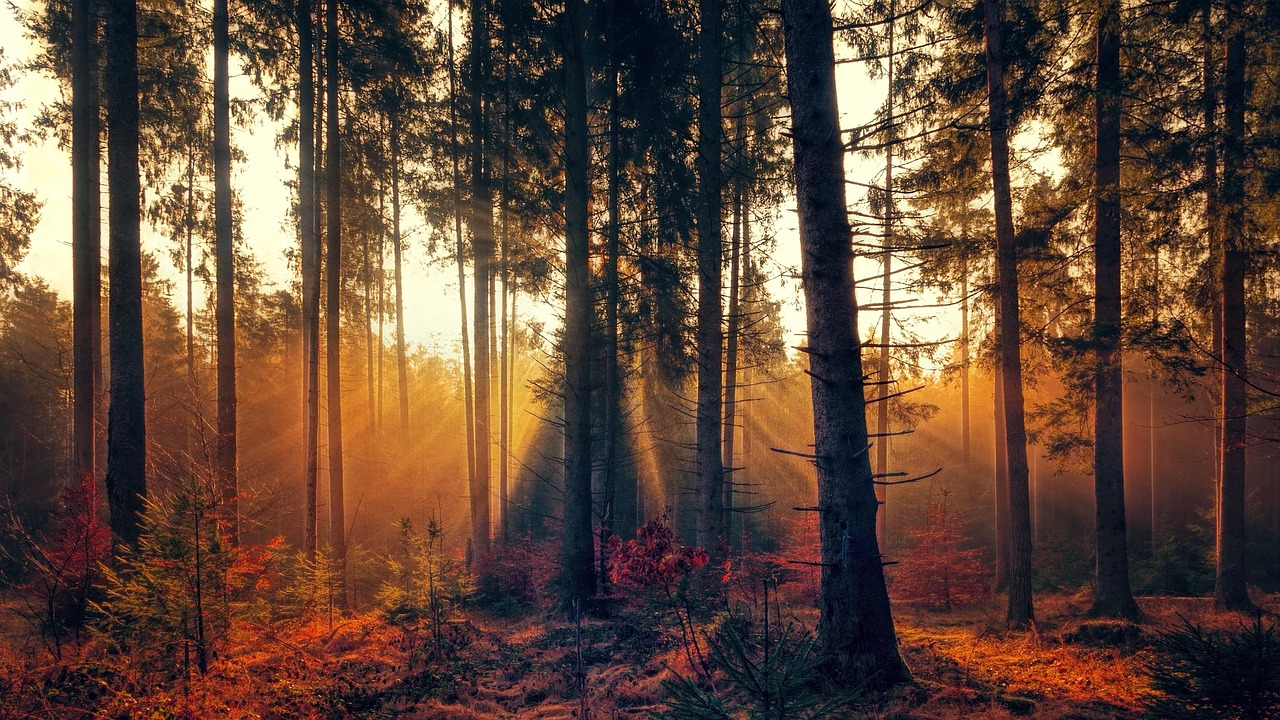 The Two-Hour Rule: Structuring Your Day Around Creative Peak Windows
